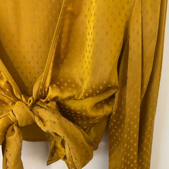 Wilfred Aritzia Gold Crop Top - Picture 4 of 10